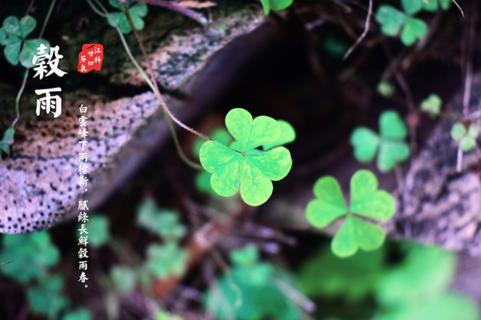 说明: \